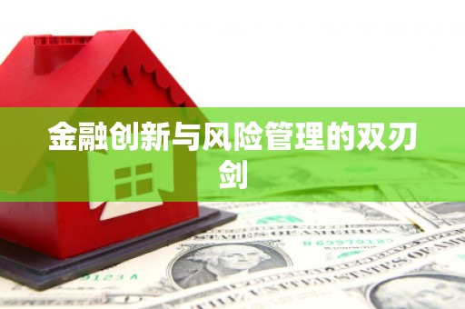 武隆金融创新与风险管理的双刃剑