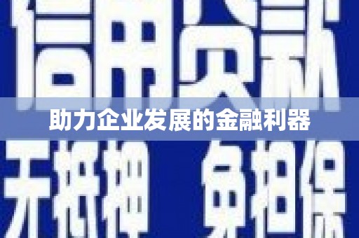 武隆助力企业发展的金融利器