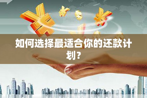 武隆如何选择最适合你的还款计划？