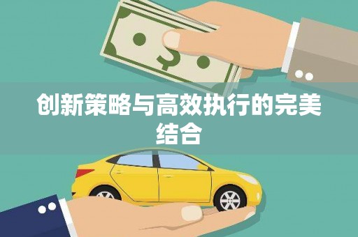 武隆创新策略与高效执行的完美结合
