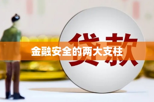武隆金融安全的两大支柱