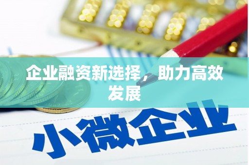 武隆企业融资新选择，助力高效发展