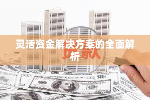 武隆灵活资金解决方案的全面解析