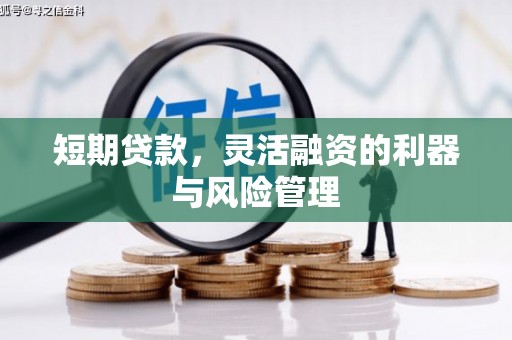 武隆短期贷款，灵活融资的利器与风险管理
