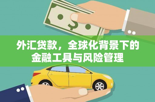 武隆外汇贷款，全球化背景下的金融工具与风险管理