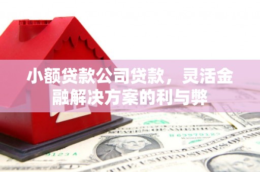 武隆小额贷款公司贷款，灵活金融解决方案的利与弊