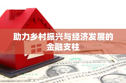 武隆助力乡村振兴与经济发展的金融支柱