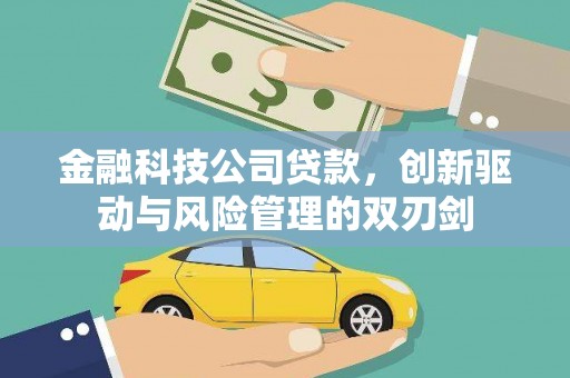 武隆金融科技公司贷款，创新驱动与风险管理的双刃剑